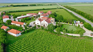 Miracolul de la Galicea Mare: O Cramă, O Poveste, Un Vin Perfect