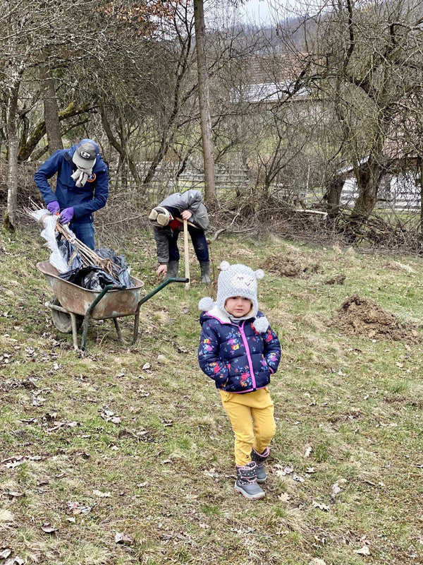 La plantat livada la Idicel Padure