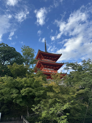 Jurnal de călătorie: Japonia