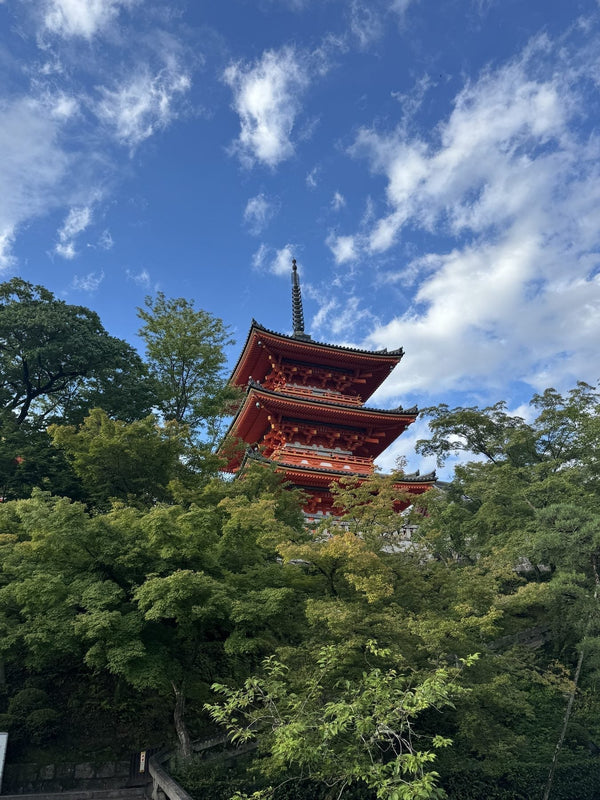 Jurnal de călătorie: Japonia