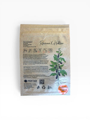 Etichetă tehnică semințe vinete Răzvan Idicel F1 — specificații Solanum melongena, instrucțiuni depozitare, producător Hektar Seeds SRL