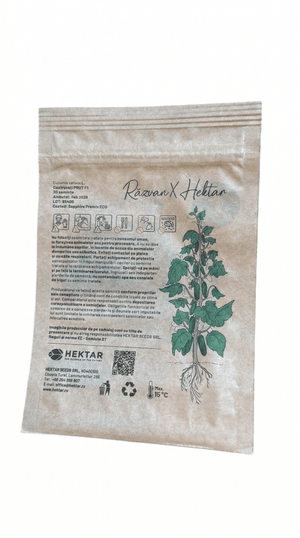 Semințe de Castraveti Răzvan Idicel F1 - 30 semințe