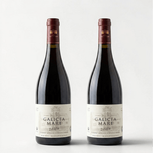 Pachet 2 sticle Galicea Mare DA2FN – Fetească Neagră 2019