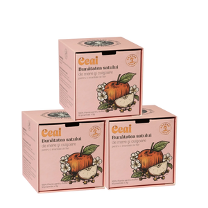 Răzvan Idicel apple and clove tea box with illustrated fruit and floral design on a soft pink background