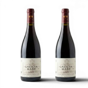 Răzvan Idicel Galicea Mare DA2FN Fetească Neagră 2019 red wine bottle with cream label on white background