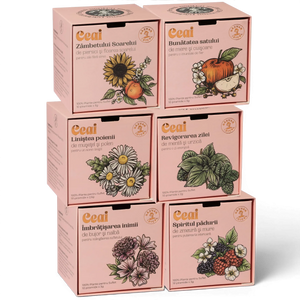 Răzvan Idicel pink tea box featuring peony and mallow illustrations with 10 pyramid tea bags for heart comfort