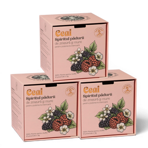 Răzvan Idicel Spiritul Pădurii raspberry and blackberry tea box with botanical fruit and flower illustration